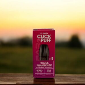 pod click and puff xbar fraise framboise